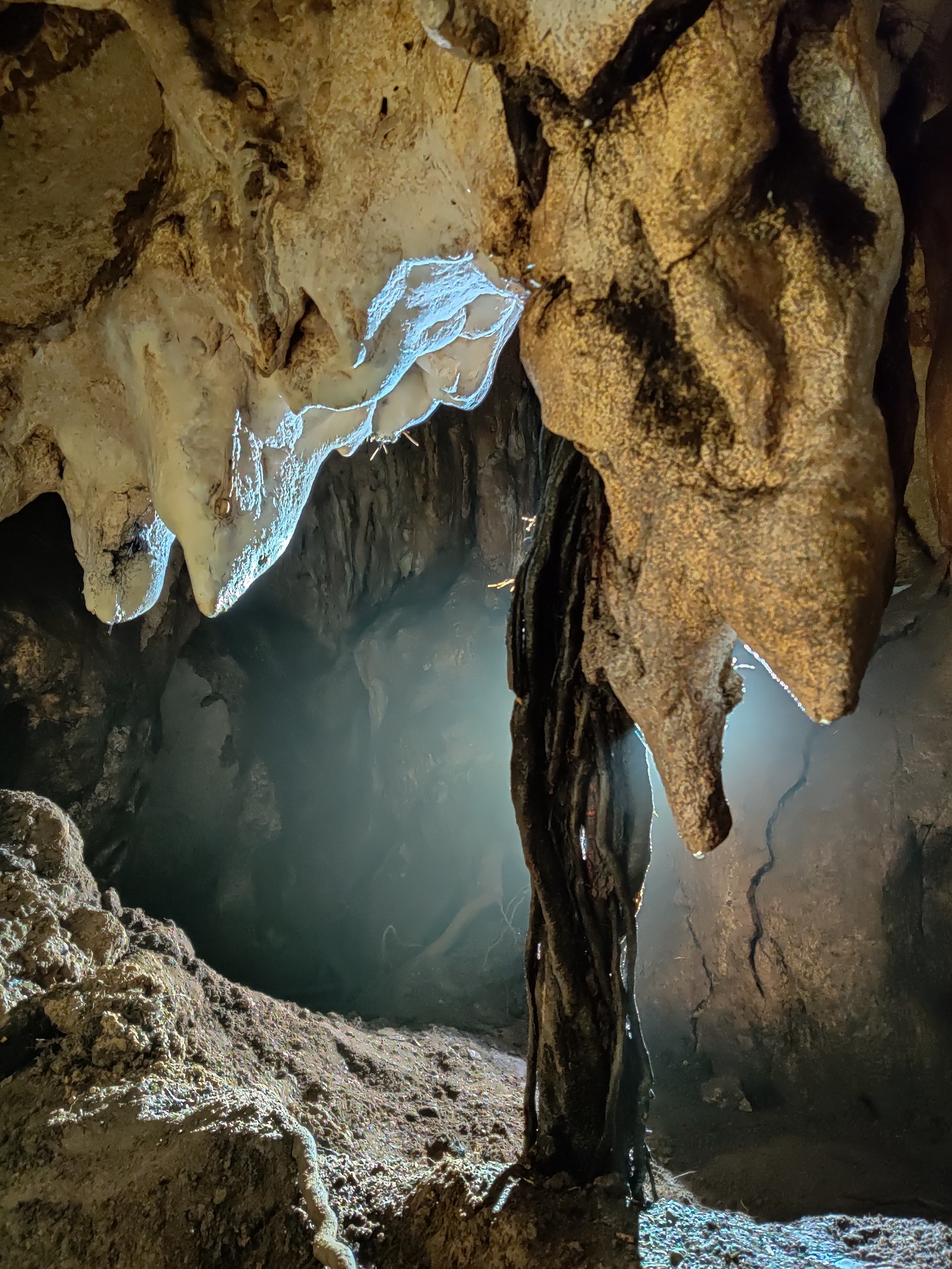 Peștera Sanela - Image 5